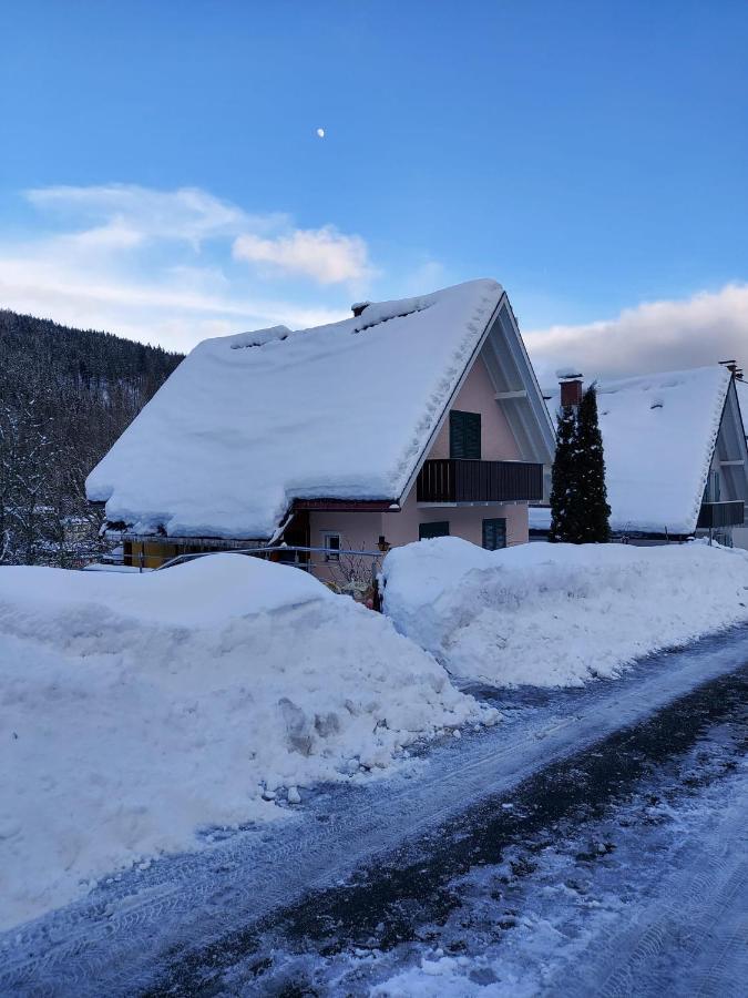 Ferienhaus Barbey St. Blasien Eksteriør billede