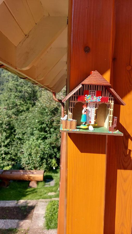 Ferienhaus Barbey St. Blasien Eksteriør billede