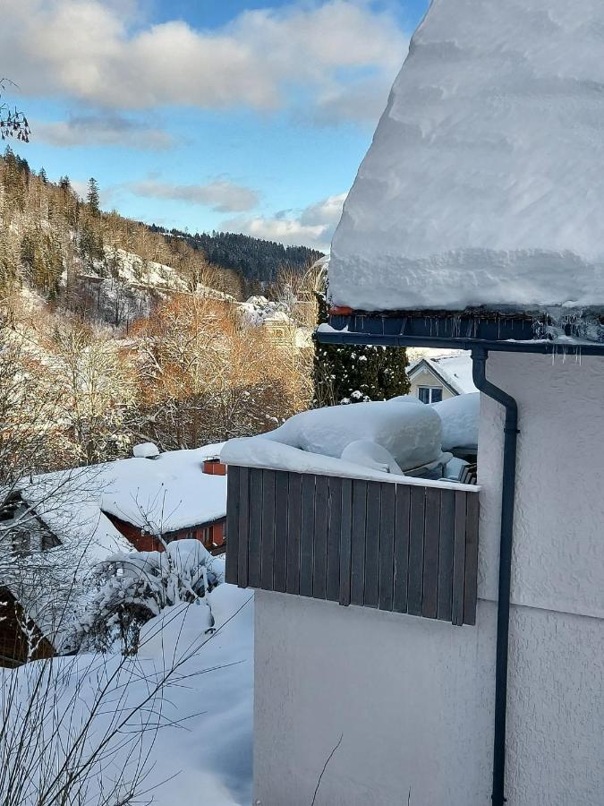 Ferienhaus Barbey St. Blasien Eksteriør billede