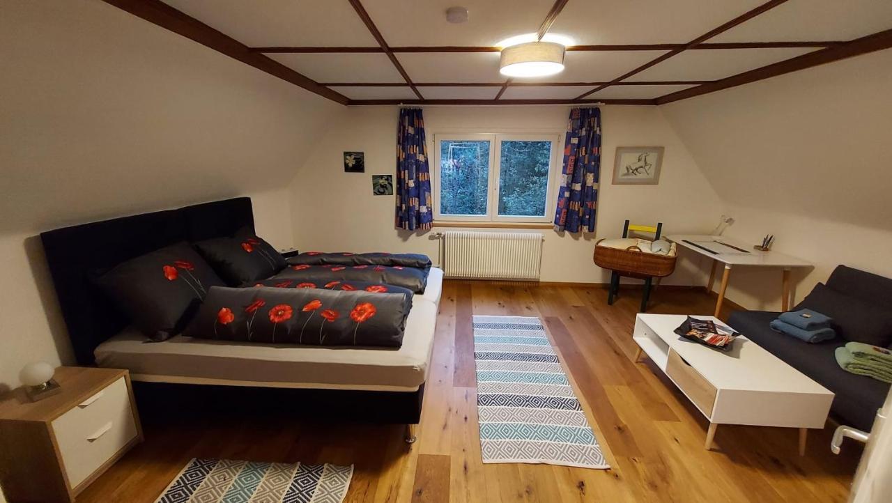 Ferienhaus Barbey St. Blasien Eksteriør billede
