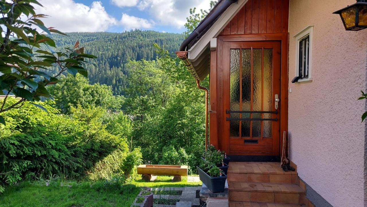 Ferienhaus Barbey St. Blasien Eksteriør billede